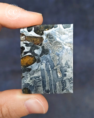 Seymchan Pallasite Meteorite Slice