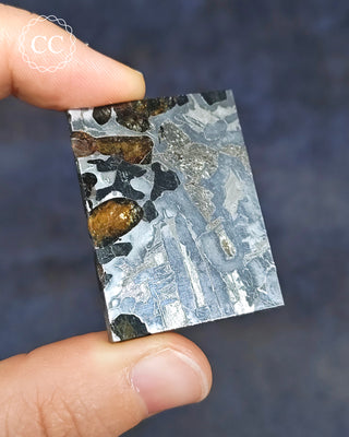 Seymchan Pallasite Meteorite Slice #2