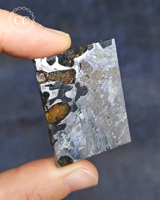 Seymchan Pallasite Meteorite Slice #2