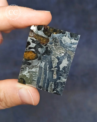 Seymchan Pallasite Meteorite Slice #2