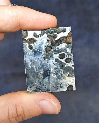 Seymchan Pallasite Meteorite Slice #2