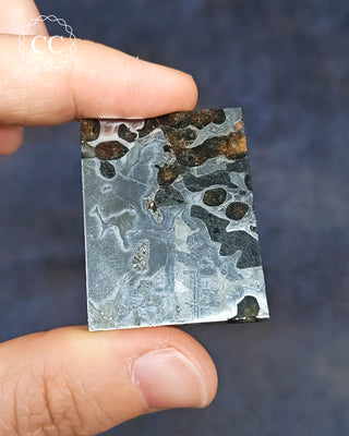 Seymchan Pallasite Meteorite Slice #2