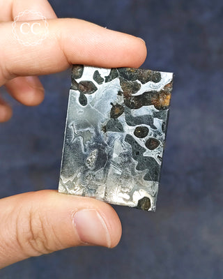Seymchan Pallasite Meteorite Slice #2