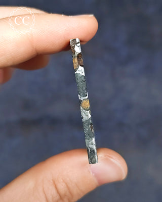Seymchan Pallasite Meteorite Slice #2