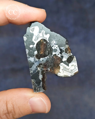 Seymchan Pallasite Meteorite Slice