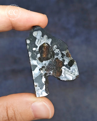 Seymchan Pallasite Meteorite Slice #3