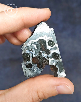 Seymchan Pallasite Meteorite Slice #3