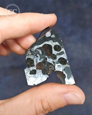 Seymchan Pallasite Meteorite Slice #3