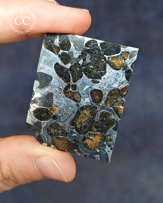 Seymchan Pallasite Meteorite Slice #1
