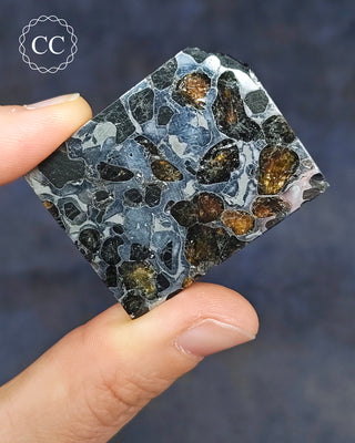 Seymchan Pallasite Meteorite Slice #1