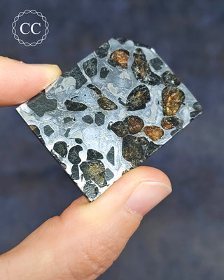 Seymchan Pallasite Meteorite Slice #1