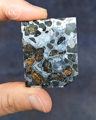 Seymchan Pallasite Meteorite Slice #1