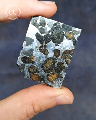 Seymchan Pallasite Meteorite Slice #1