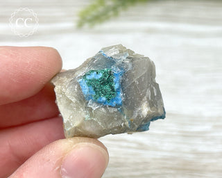 Shattuckite Specimen - Namibia #8