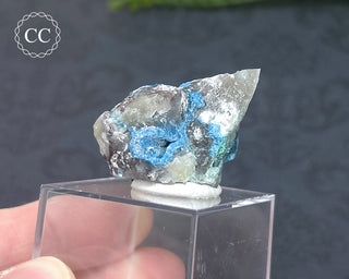 Shattuckite Specimen - Namibia #12