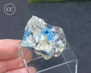 Shattuckite Specimen - Namibia #12