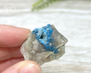 Shattuckite Specimen - Namibia #8