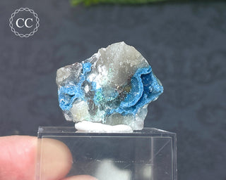 Shattuckite Specimen - Namibia #12