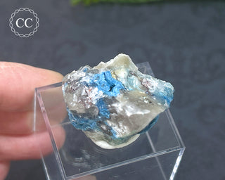 Shattuckite Specimen - Namibia #12