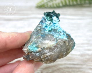 Shattuckite, Chrysocolla & Malachite Specimen - Namibia #19