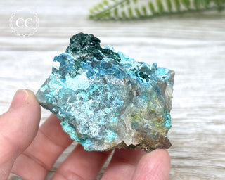 Shattuckite, Chrysocolla & Malachite Specimen - Namibia #19