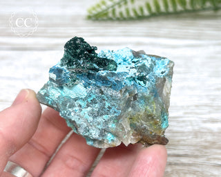 Shattuckite, Chrysocolla & Malachite Specimen - Namibia #19