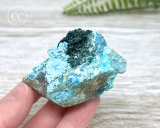 Shattuckite, Chrysocolla & Malachite Specimen - Namibia #19