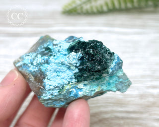 Shattuckite, Chrysocolla & Malachite Specimen - Namibia #19