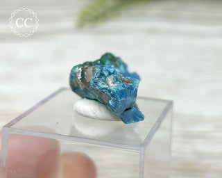 Shattuckite & Malachite Specimen - Namibia #2