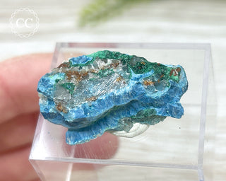 Shattuckite & Malachite Specimen - Namibia #2