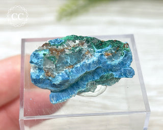 Shattuckite & Malachite Specimen - Namibia #2