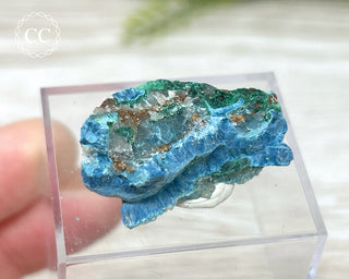 Shattuckite & Malachite Specimen - Namibia #2