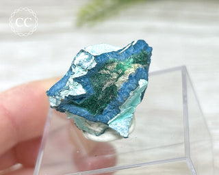 Shattuckite & Malachite Specimen - Namibia #3