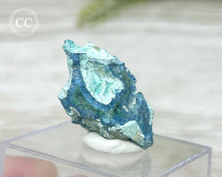 Shattuckite & Malachite Specimen - Namibia #5