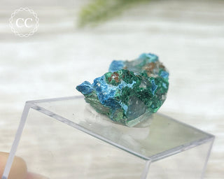 Shattuckite & Malachite Specimen - Namibia #2