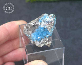 Shattuckite & Quartz Specimen - Namibia #11