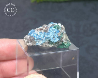 Shattuckite & Quartz Specimen - Namibia #11