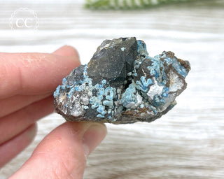 Shattuckite Specimen - Namibia #18