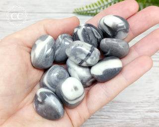 Shell Jasper Tumbled Crystals in hand