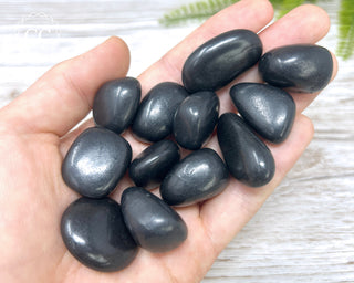 Shungite Tumbled Crystals in hand