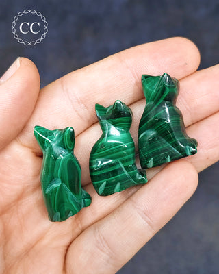 Malachite Cat - Small