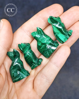 Malachite Cat - Small
