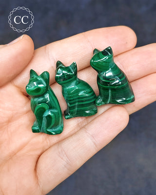 Malachite Cat - Small