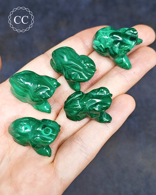 Malachite Frog carving on hand on blue background