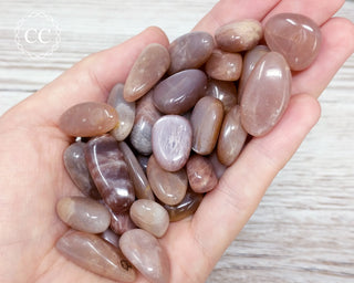 Small Golden/Peach Moonstone Tumbled Crystals in hand