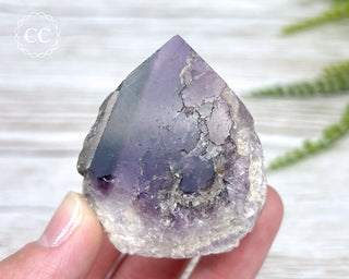 Brazilian Smoky Amethyst #10