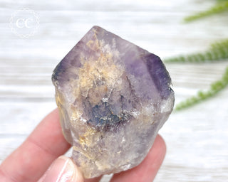 Brazilian Smoky Amethyst #11