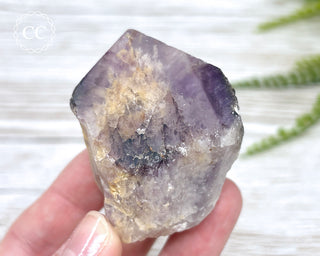 Brazilian Smoky Amethyst #11