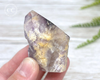 Brazilian Smoky Amethyst #11