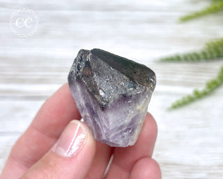 Brazilian Smoky Amethyst #17